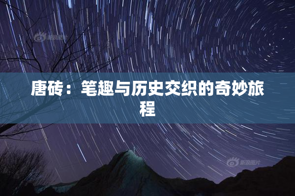 唐砖：笔趣与历史交织的奇妙旅程