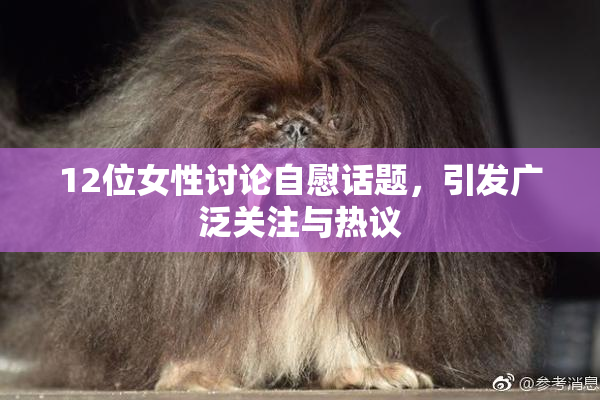12位女性讨论自慰话题，引发广泛关注与热议