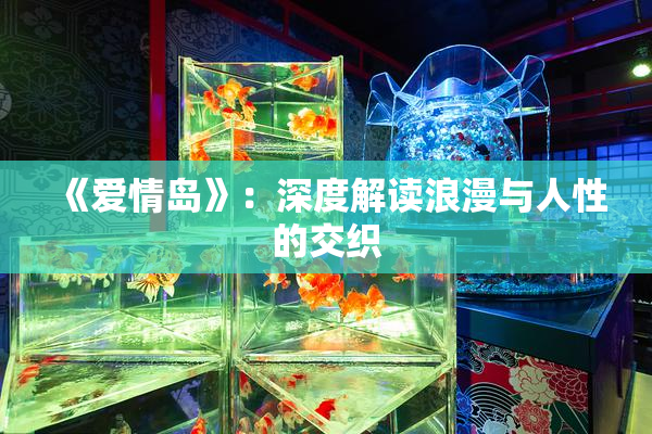 《爱情岛》：深度解读浪漫与人性的交织