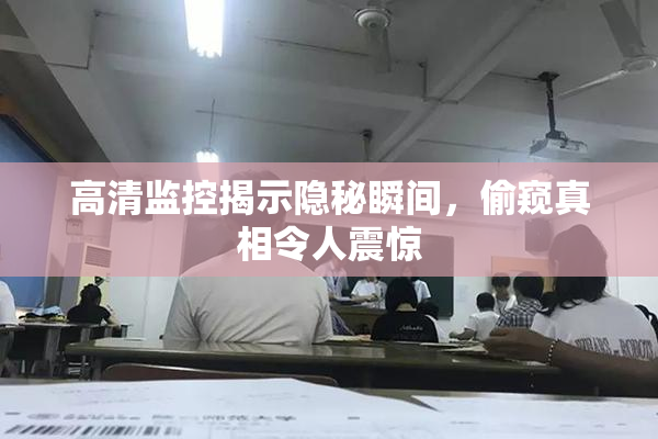 高清监控揭示隐秘瞬间，偷窥真相令人震惊
