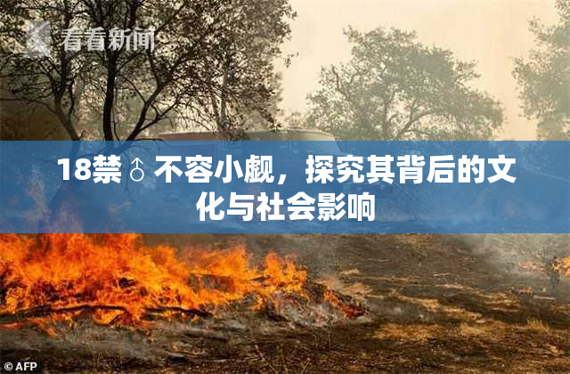 18禁♂不容小觑，探究其背后的文化与社会影响
