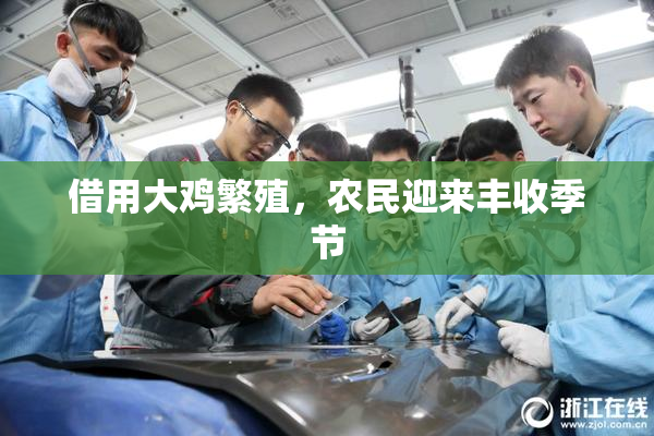 借用大鸡繁殖，农民迎来丰收季节