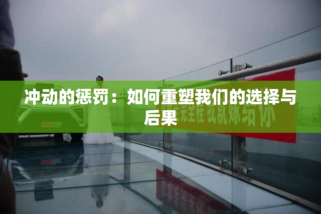 冲动的惩罚：如何重塑我们的选择与后果