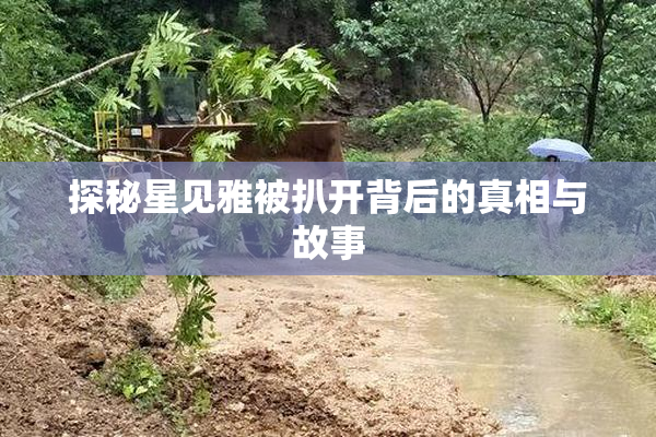 探秘星见雅被扒开背后的真相与故事