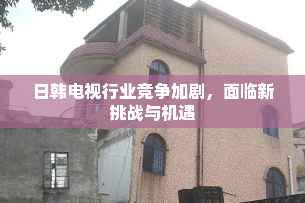 日韩电视行业竞争加剧，面临新挑战与机遇