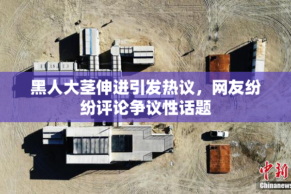 黑人大茎伸进引发热议，网友纷纷评论争议性话题