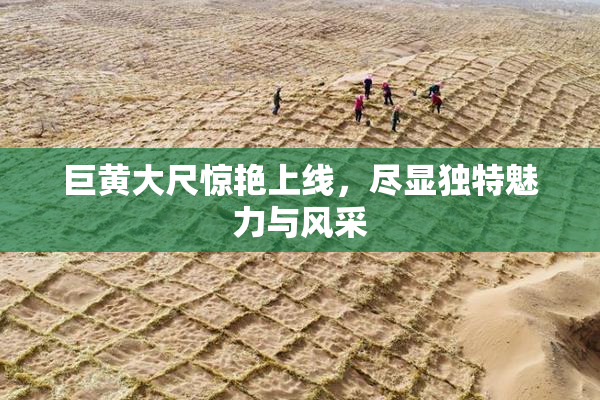 巨黄大尺惊艳上线，尽显独特魅力与风采