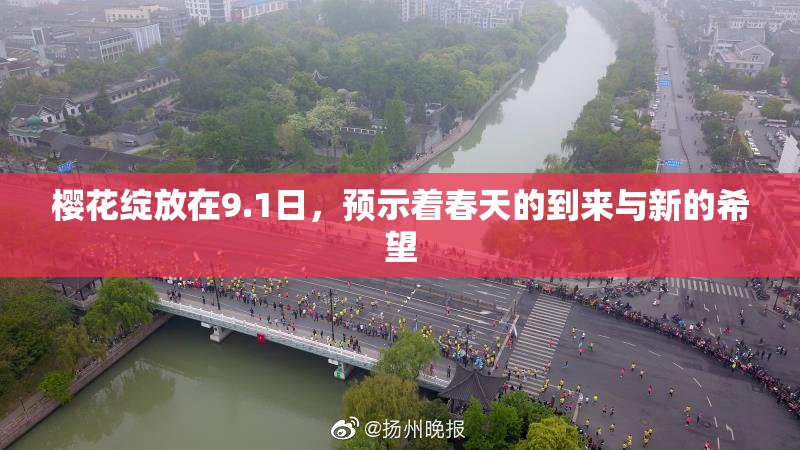 樱花绽放在9.1日，预示着春天的到来与新的希望