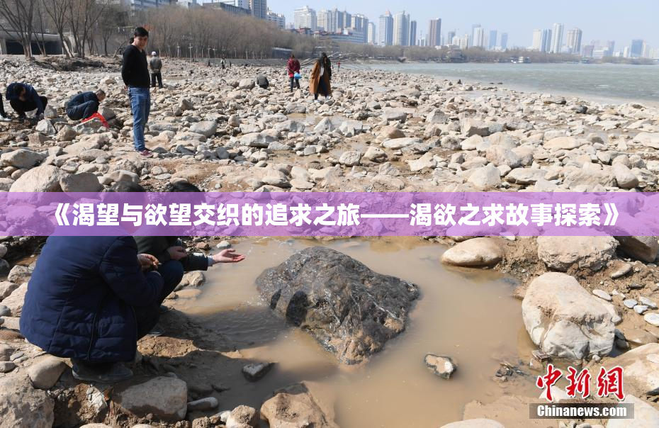 《渴望与欲望交织的追求之旅——渴欲之求故事探索》