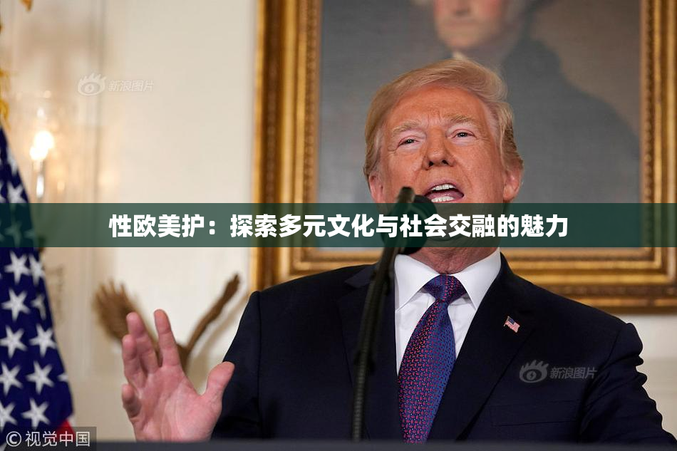 性欧美护：探索多元文化与社会交融的魅力