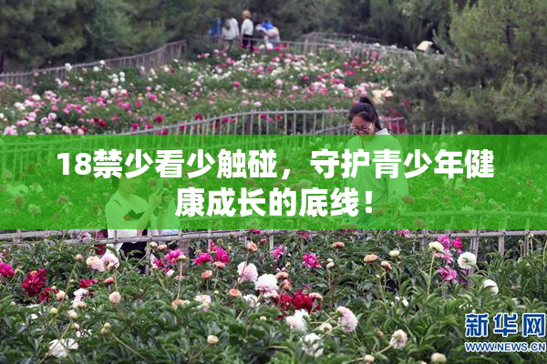 18禁少看少触碰，守护青少年健康成长的底线！