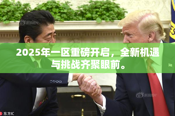2025年一区重磅开启，全新机遇与挑战齐聚眼前。