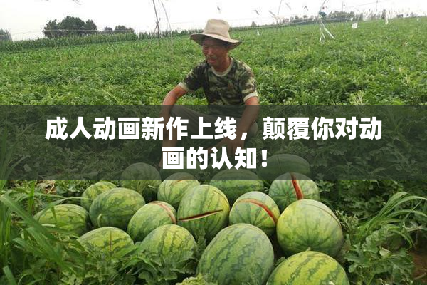 成人动画新作上线，颠覆你对动画的认知！