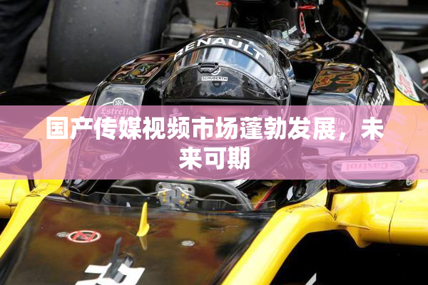 国产传媒视频市场蓬勃发展，未来可期