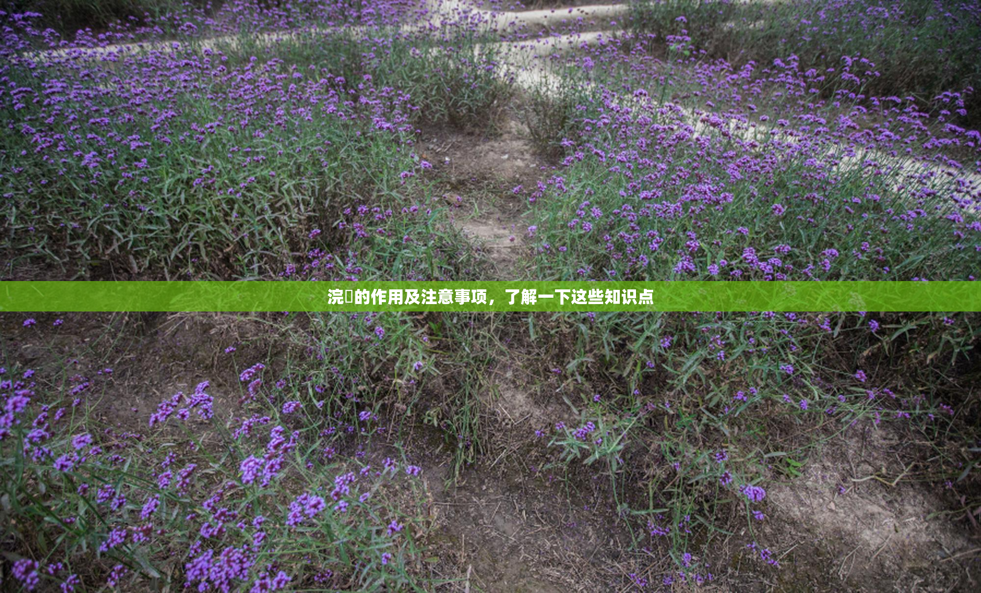 浣腸的作用及注意事项，了解一下这些知识点