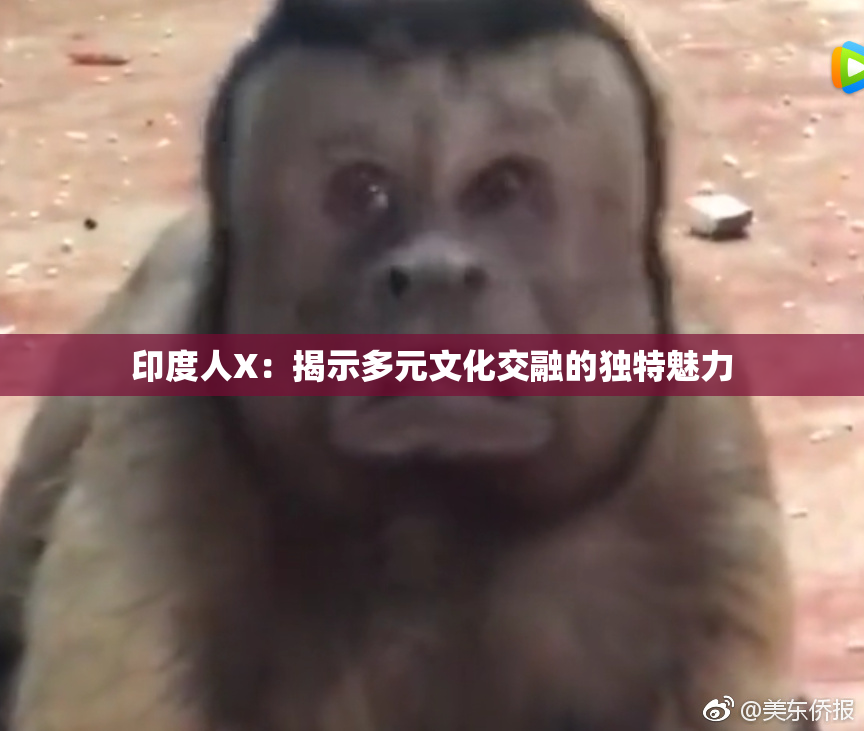 印度人X：揭示多元文化交融的独特魅力