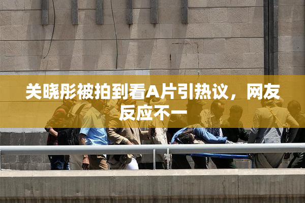 关晓彤被拍到看A片引热议，网友反应不一