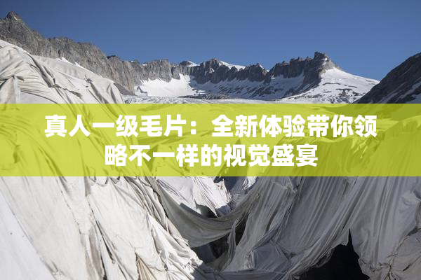 真人一级毛片：全新体验带你领略不一样的视觉盛宴