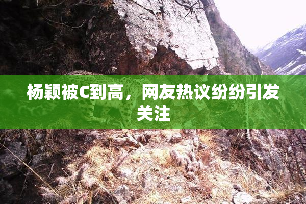杨颖被C到高，网友热议纷纷引发关注