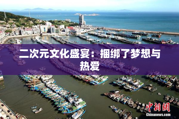 二次元文化盛宴：捆绑了梦想与热爱