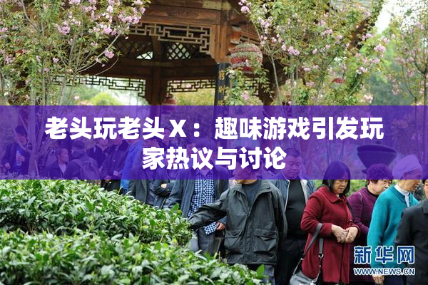 老头玩老头Ⅹ：趣味游戏引发玩家热议与讨论