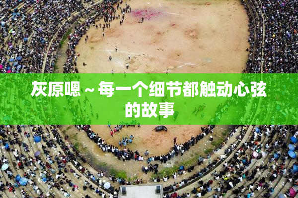 灰原嗯～每一个细节都触动心弦的故事