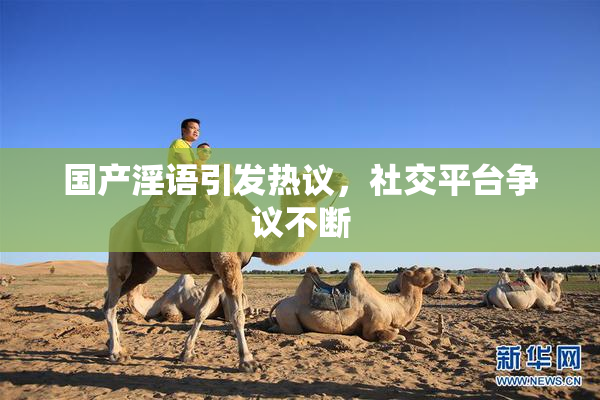 国产淫语引发热议，社交平台争议不断