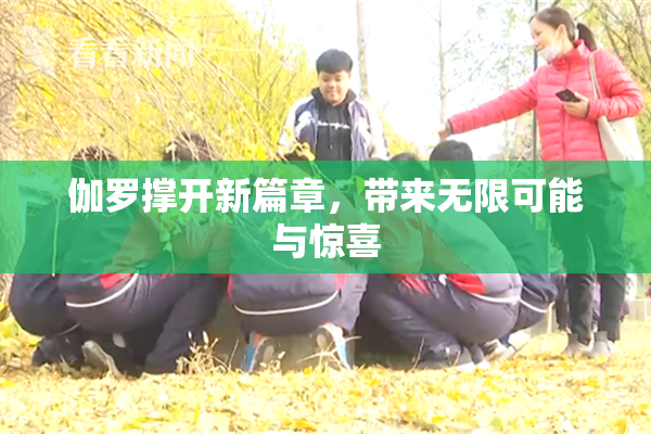 伽罗撑开新篇章，带来无限可能与惊喜