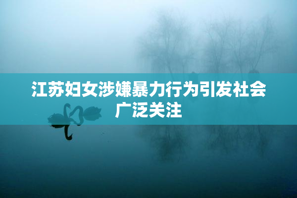 江苏妇女涉嫌暴力行为引发社会广泛关注