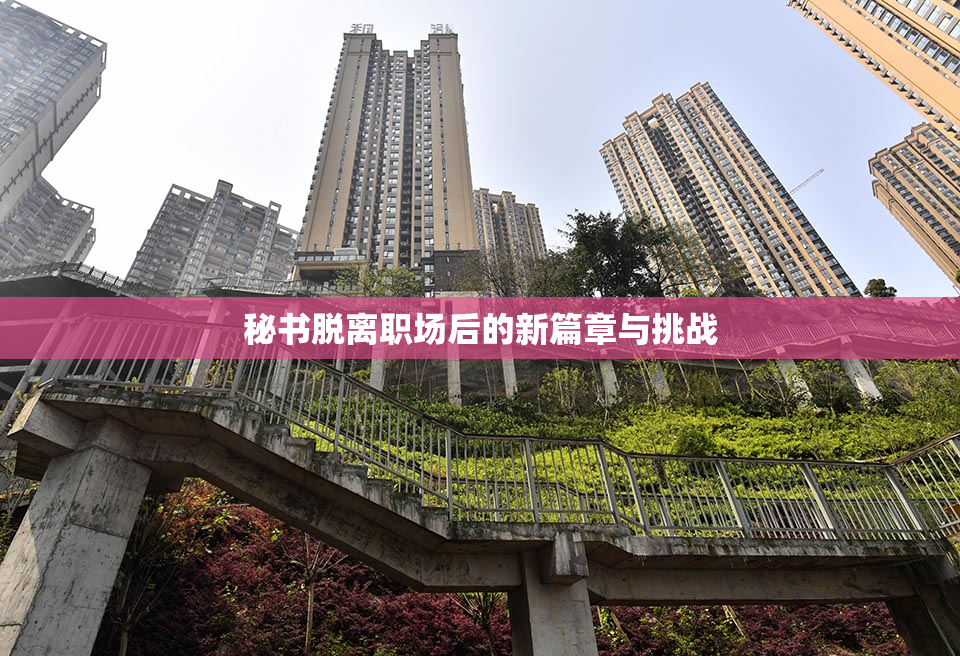 秘书脱离职场后的新篇章与挑战