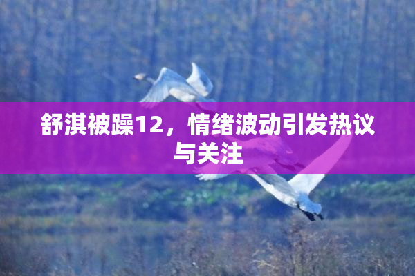 舒淇被躁12，情绪波动引发热议与关注