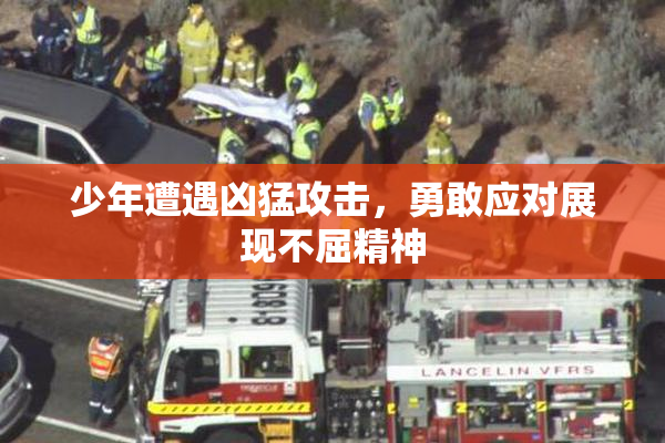 少年遭遇凶猛攻击，勇敢应对展现不屈精神