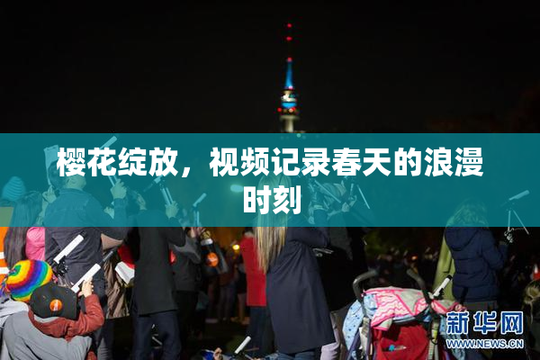 樱花绽放，视频记录春天的浪漫时刻