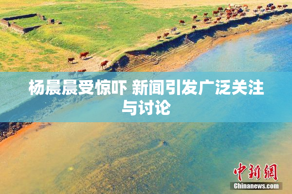 杨晨晨受惊吓 新闻引发广泛关注与讨论