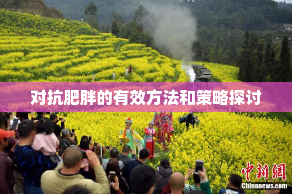 对抗肥胖的有效方法和策略探讨