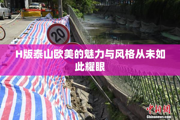 H版泰山欧美的魅力与风格从未如此耀眼