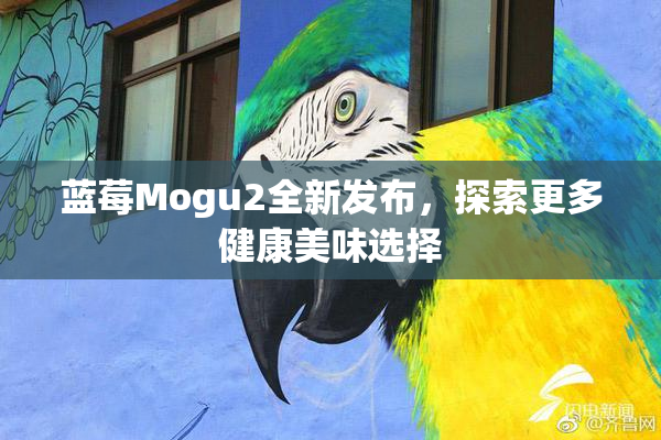 蓝莓Mogu2全新发布，探索更多健康美味选择