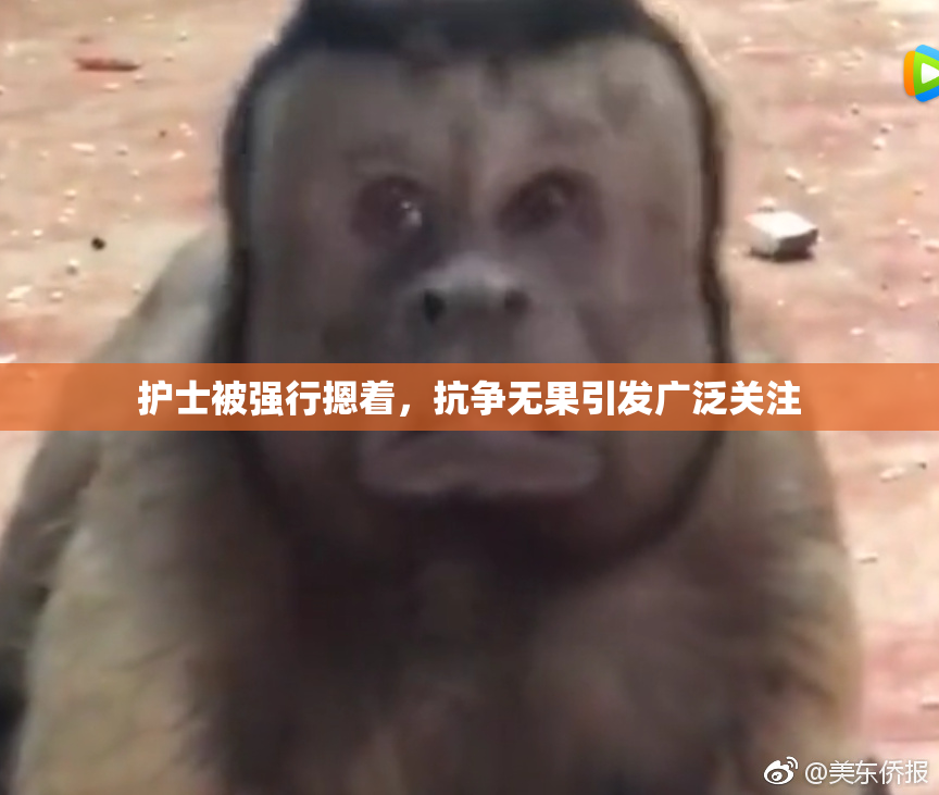 护士被强行摁着，抗争无果引发广泛关注