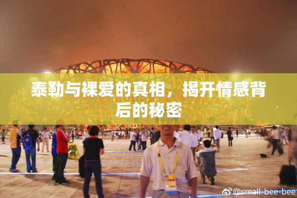 泰勒与裸爱的真相，揭开情感背后的秘密