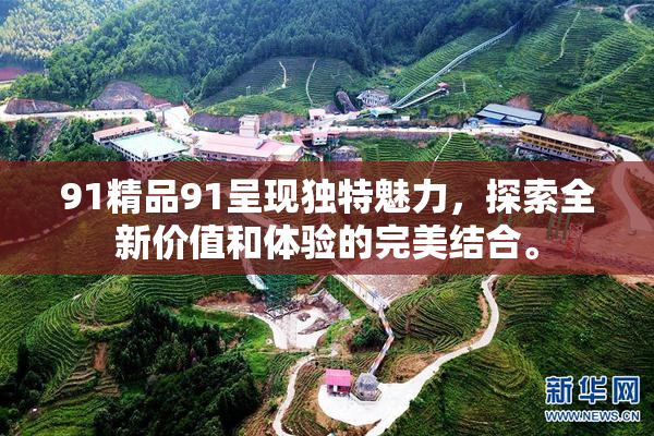 91精品91呈现独特魅力，探索全新价值和体验的完美结合。