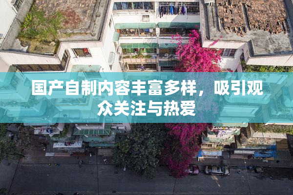 国产自制内容丰富多样，吸引观众关注与热爱