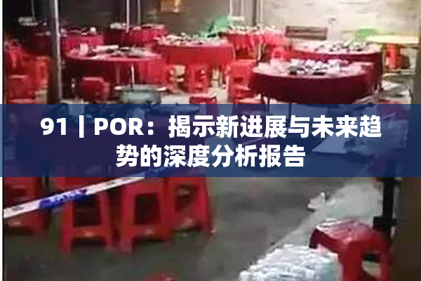 91丨POR：揭示新进展与未来趋势的深度分析报告