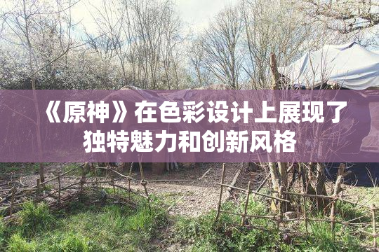 《原神》在色彩设计上展现了独特魅力和创新风格