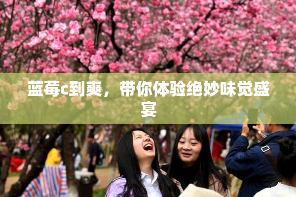 蓝莓c到爽，带你体验绝妙味觉盛宴