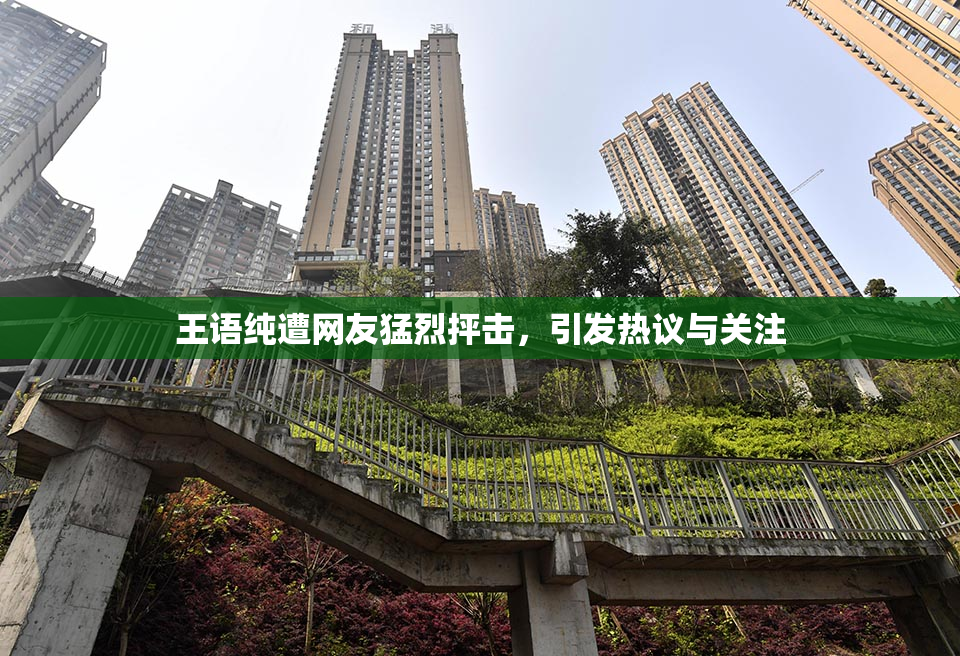 王语纯遭网友猛烈抨击，引发热议与关注