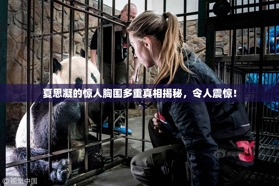 夏思凝的惊人胸围多重真相揭秘，令人震惊！