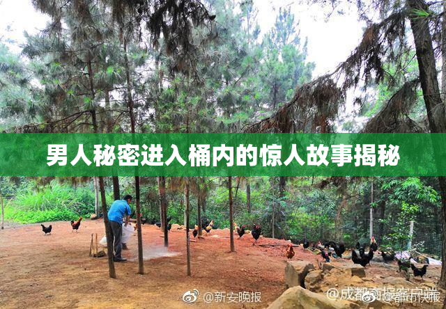 男人秘密进入桶内的惊人故事揭秘