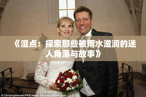 《湿点：探索那些被雨水滋润的迷人角落与故事》