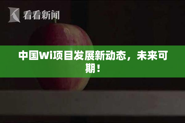 中国Wi项目发展新动态，未来可期！