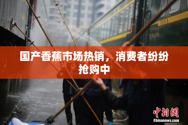 国产香蕉市场热销，消费者纷纷抢购中
